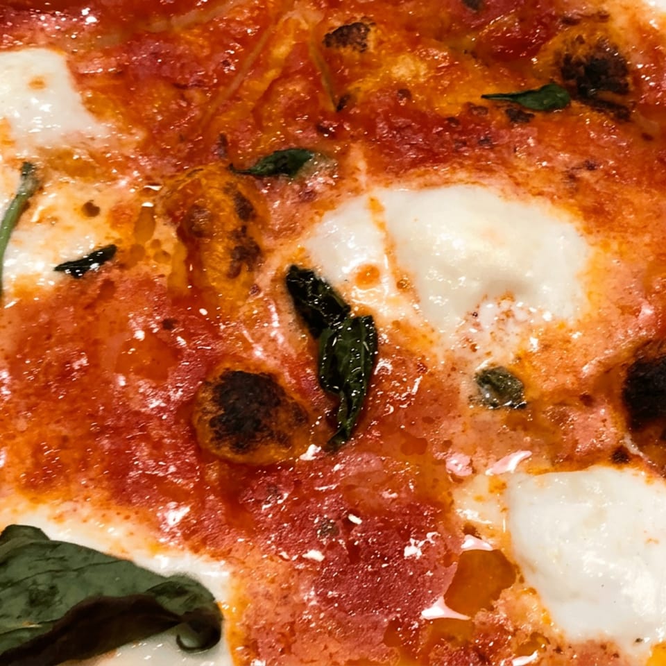 Close-up of a blistered tomato pizza topped with melted mozzarella, basil leaves, and charred crust.